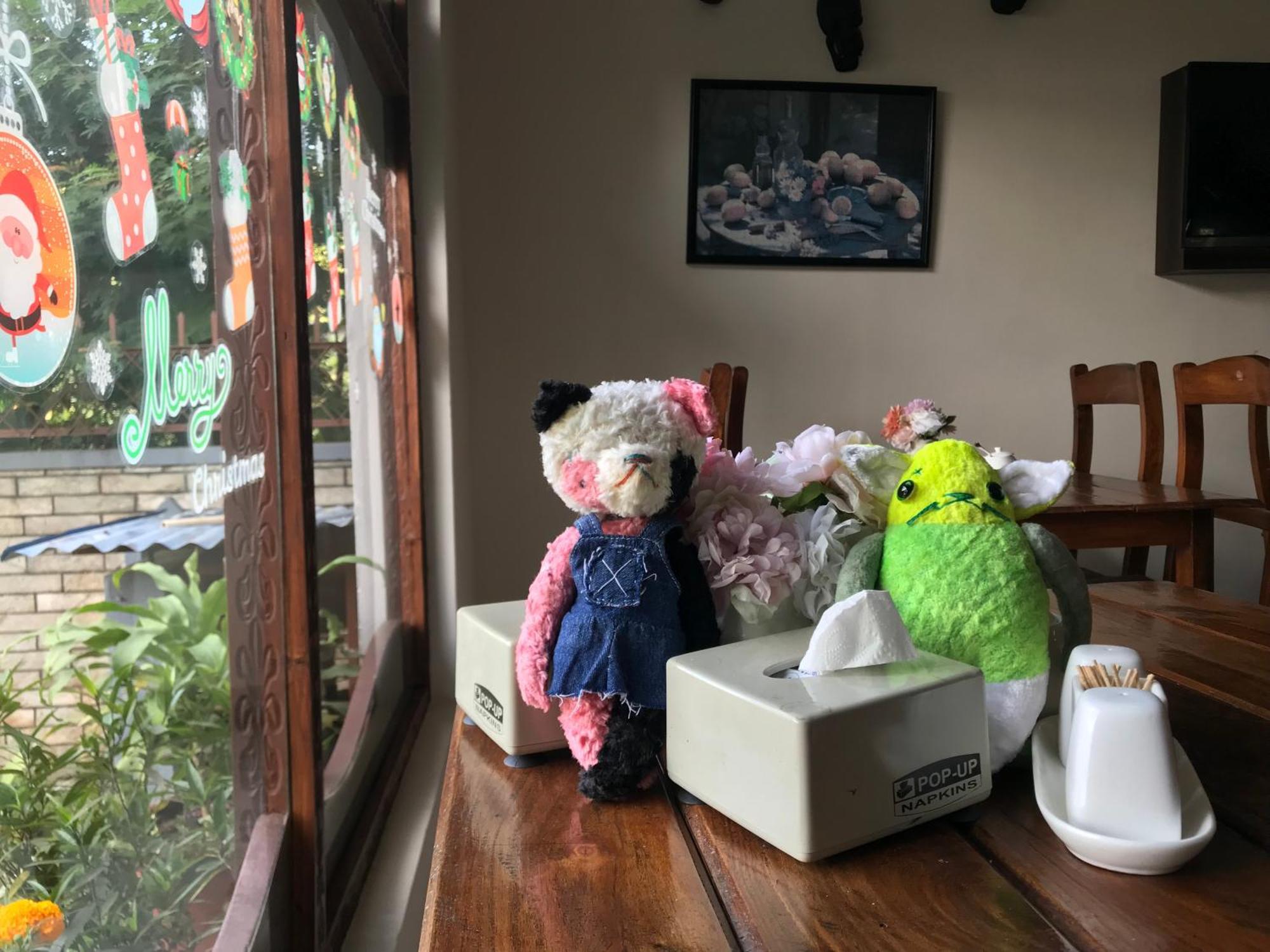 博克拉美景酒店 博卡拉 外观 照片